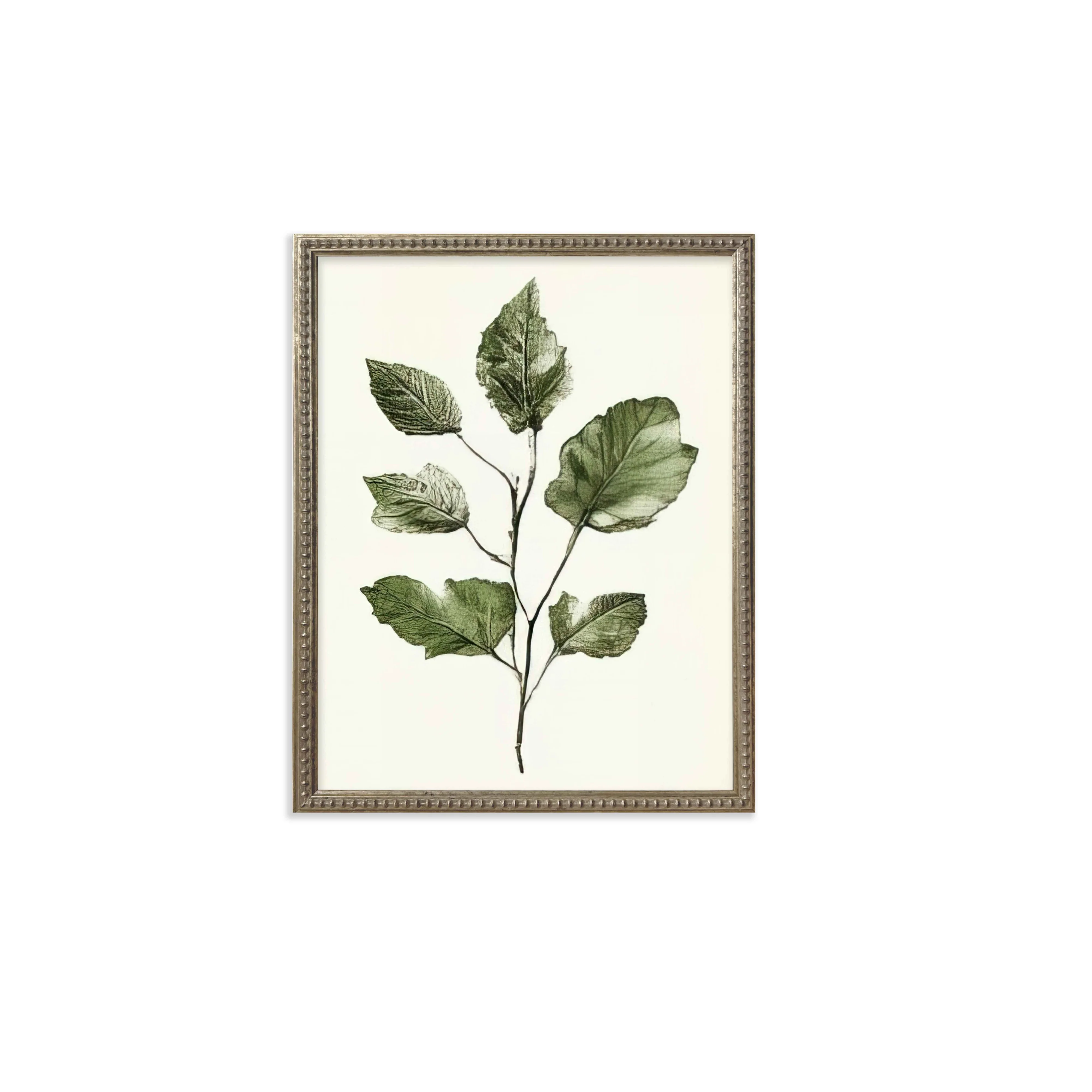16x20 Green Botanicals set of 6 - Image 5