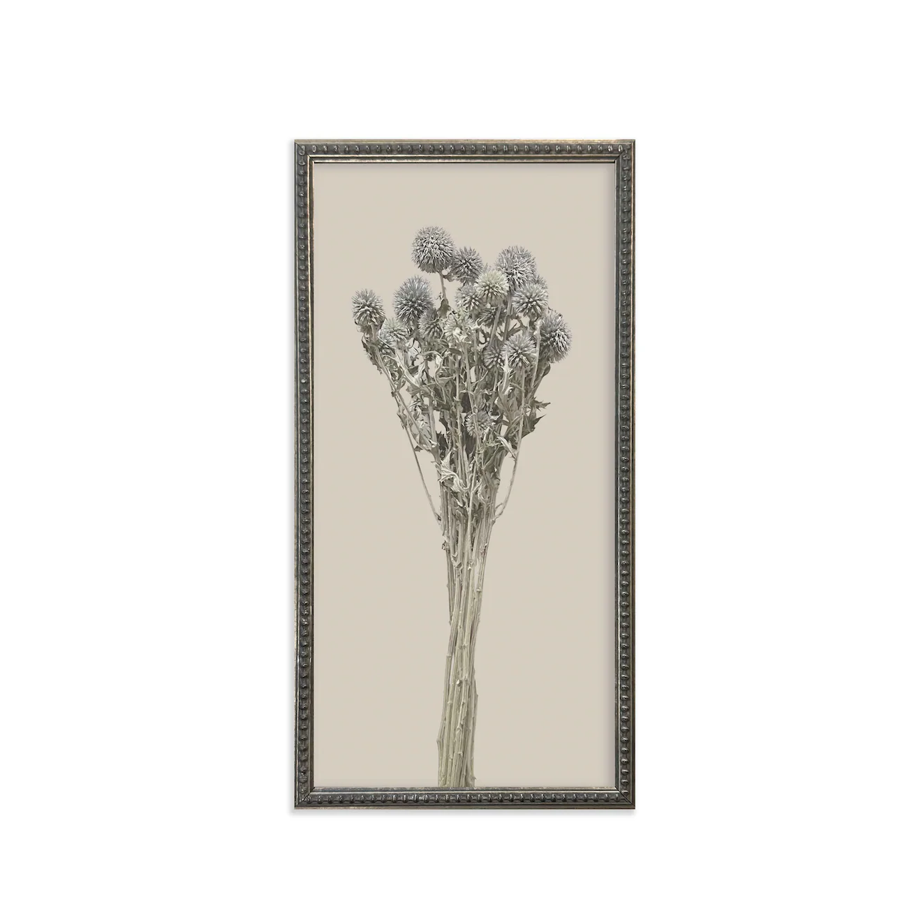 Silver Bead Frame Botanicals (Set of 6) - Image 2