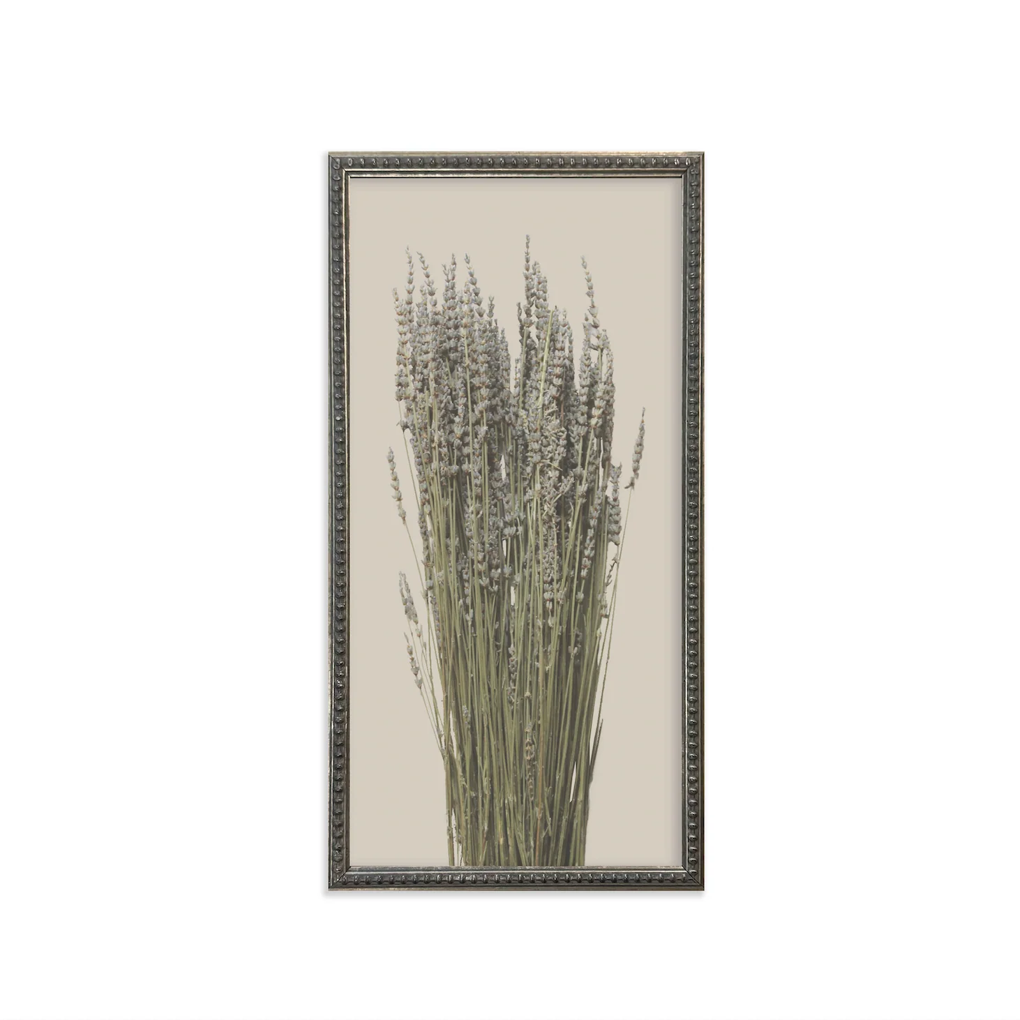 Silver Bead Frame Botanicals (Set of 6) - Image 3