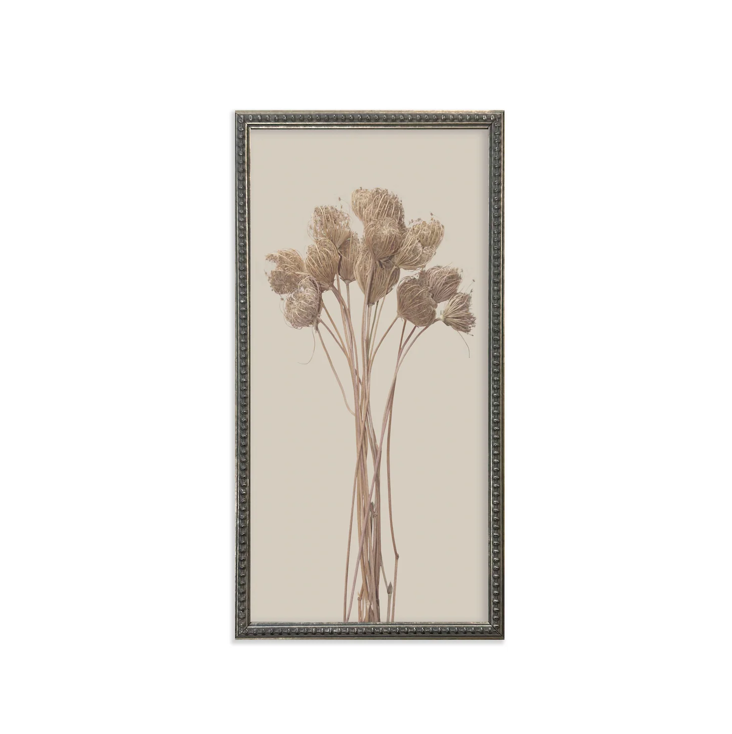 Silver Bead Frame Botanicals (Set of 6) - Image 4