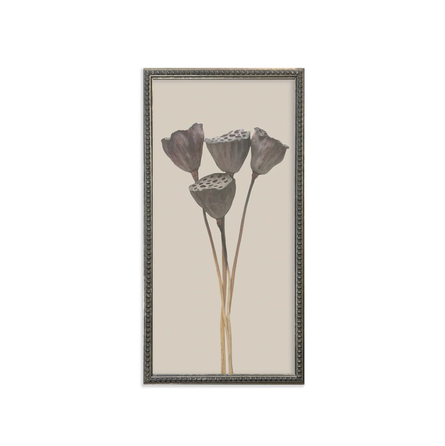 Silver Bead Frame Botanicals (Set of 6) - Image 5