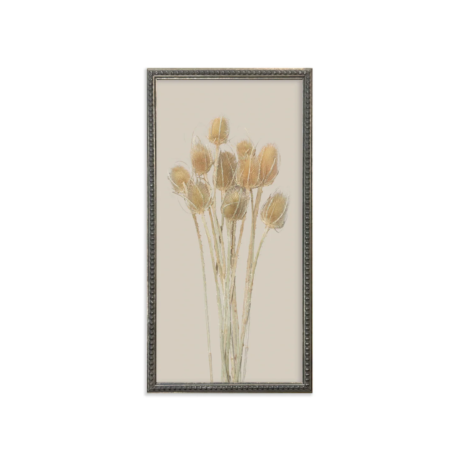 Silver Bead Frame Botanicals (Set of 6) - Image 6