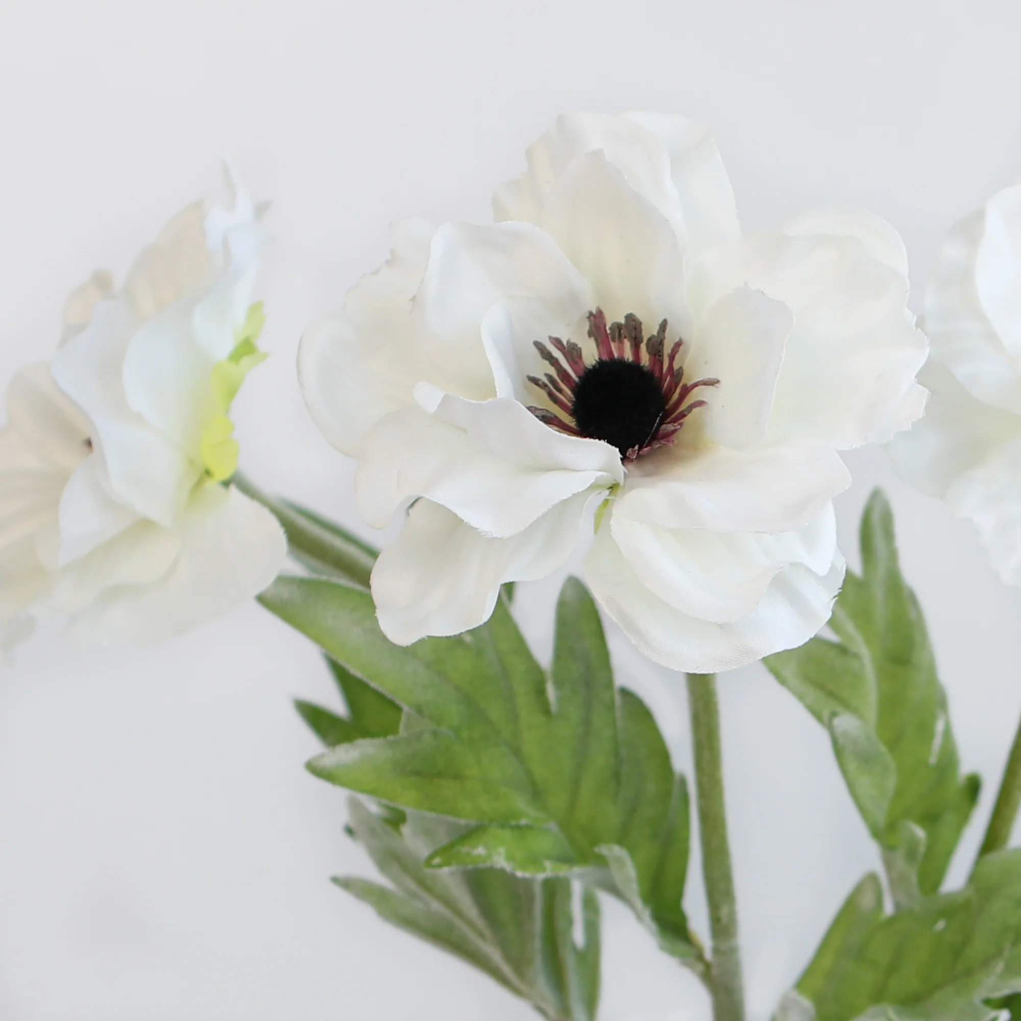 17" White Anemone Stem - Image 5