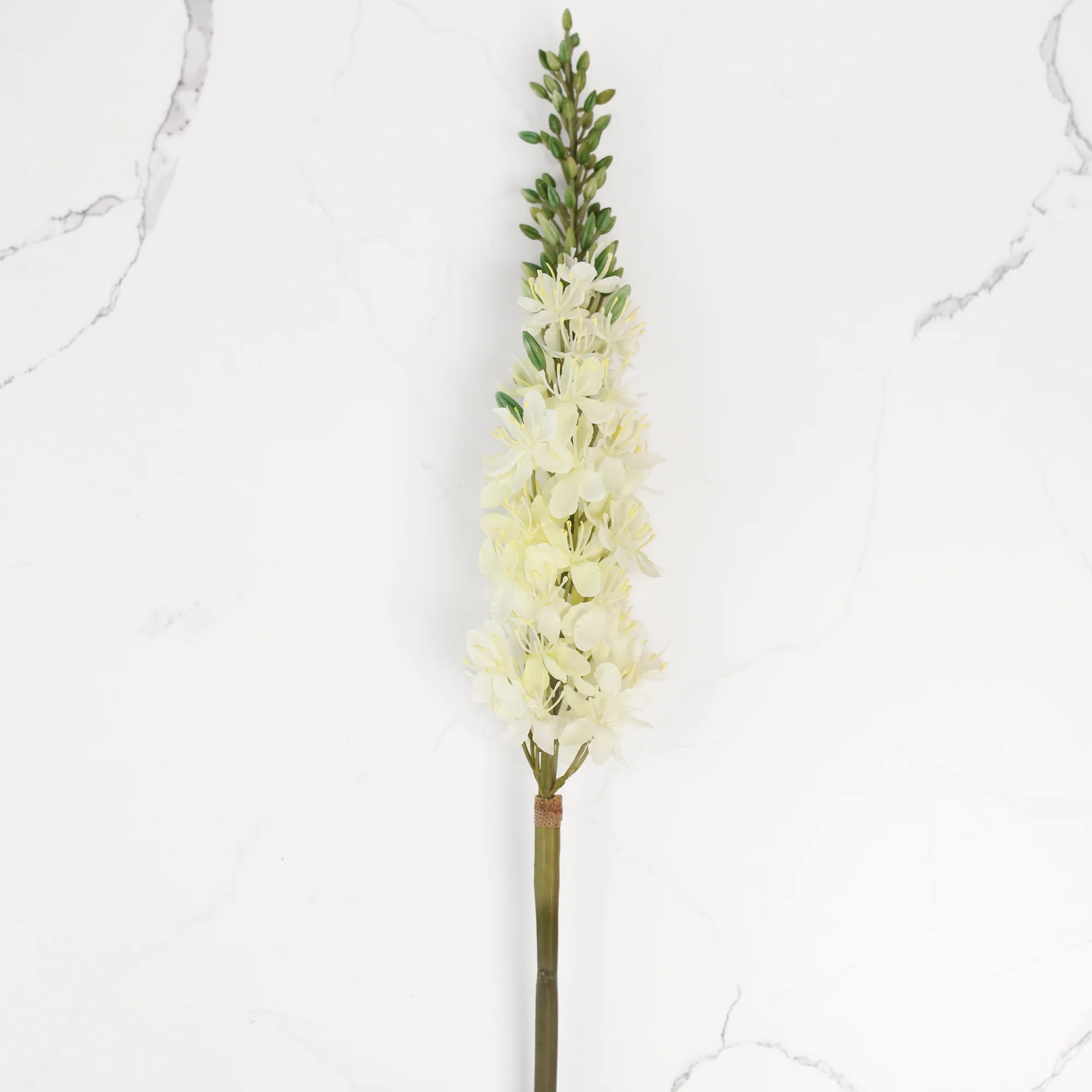 34" Foxtail Lily Stem