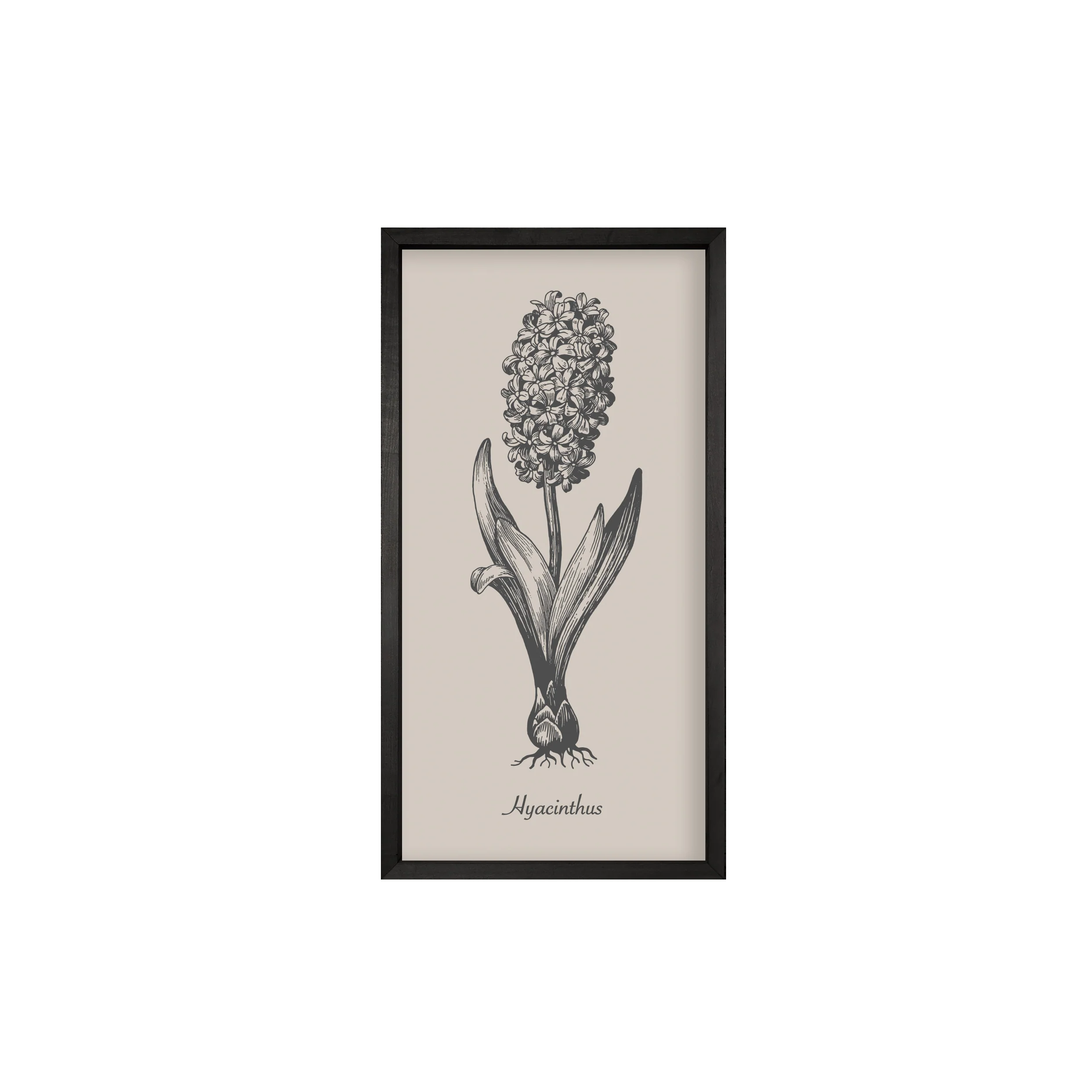 35x18 Thin Black Vintage Botanicals (Set of 6) - Image 3