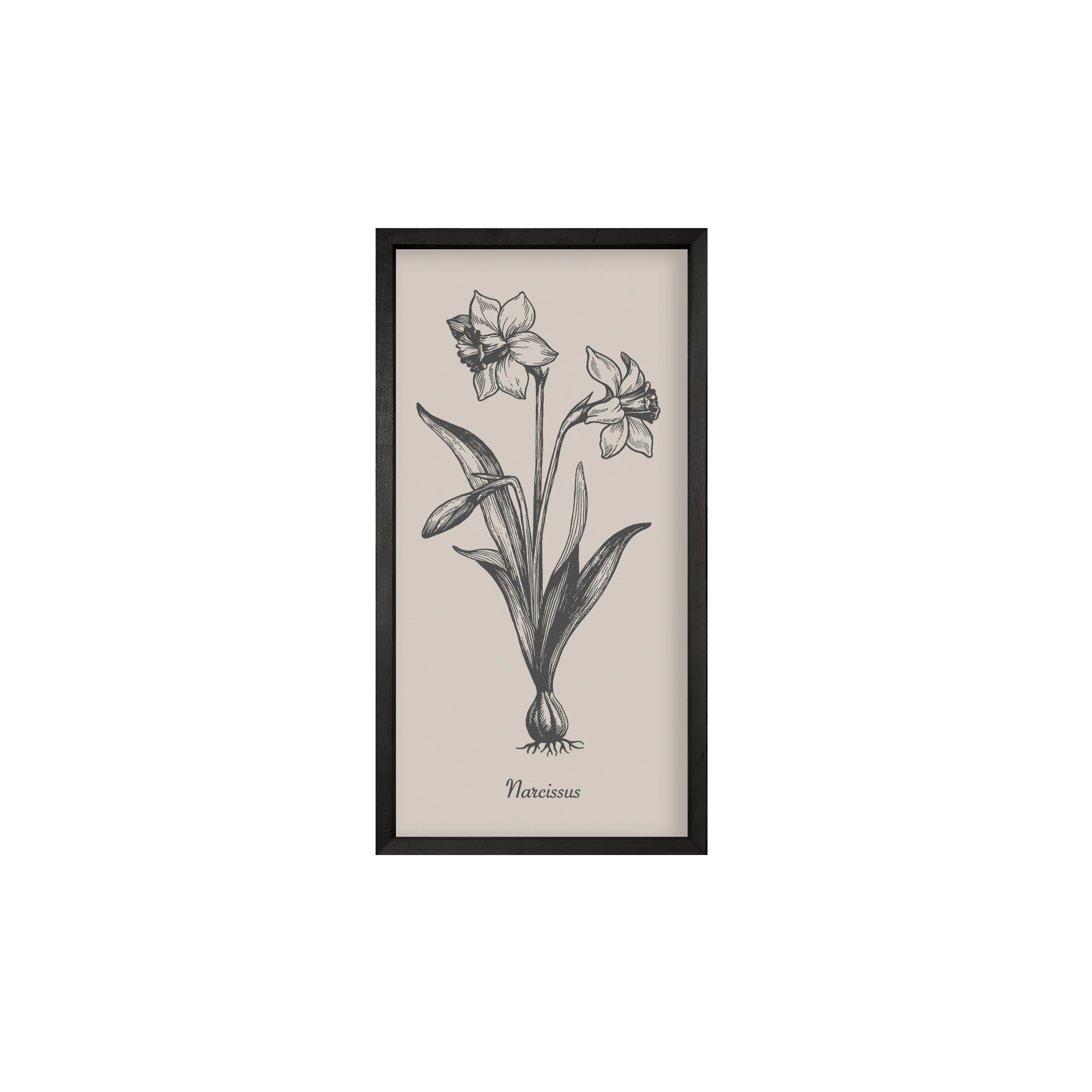 35x18 Thin Black Vintage Botanicals (Set of 6) - Image 4