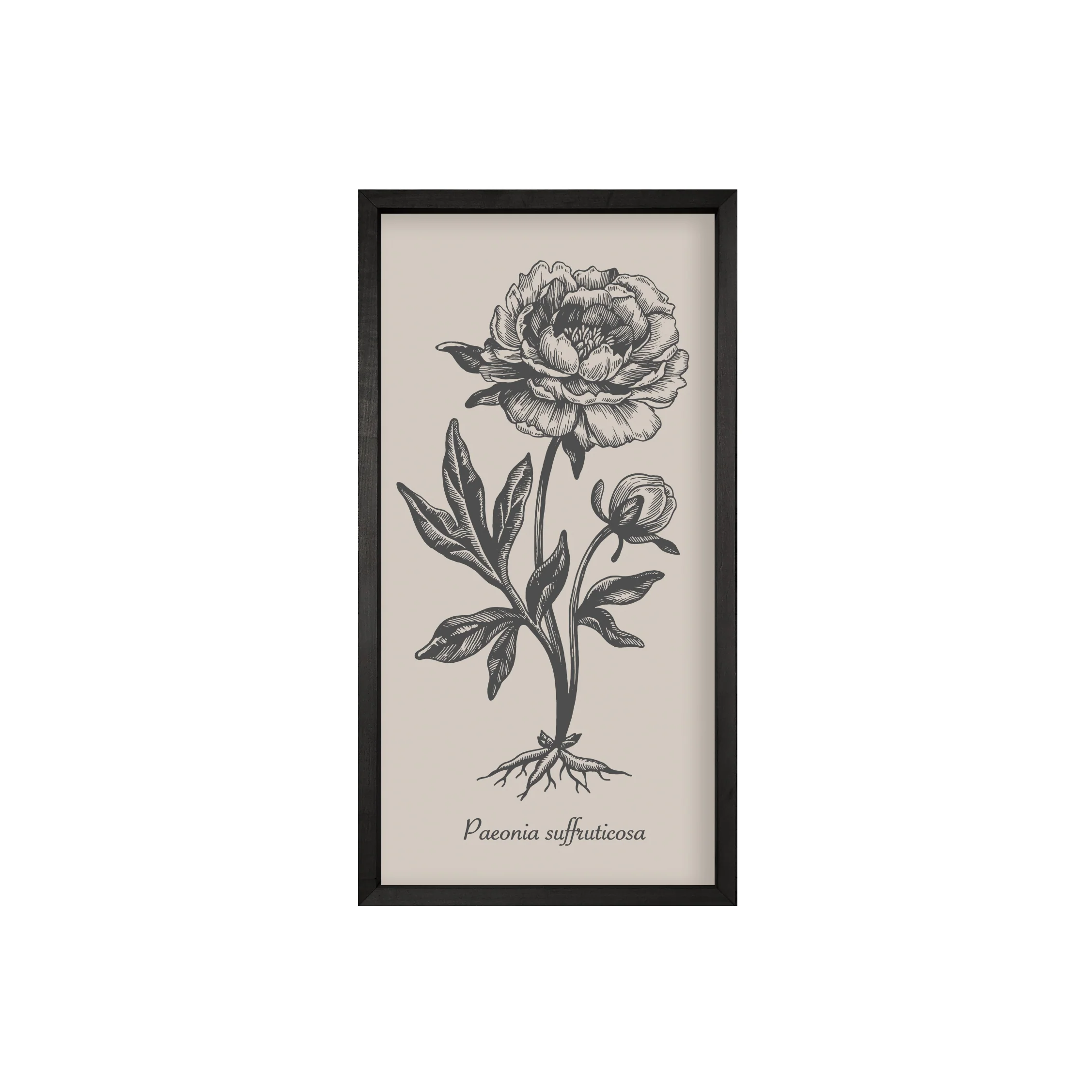 35x18 Thin Black Vintage Botanicals (Set of 6) - Image 6