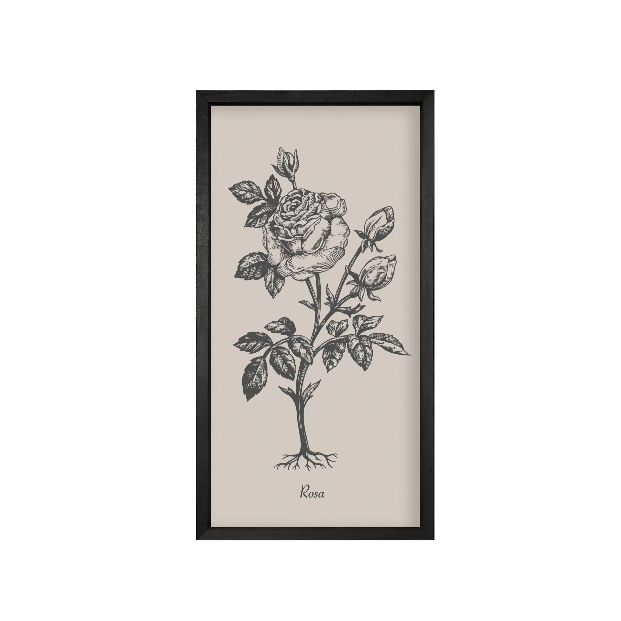 35x18 Thin Black Vintage Botanicals (Set of 6) - Image 7