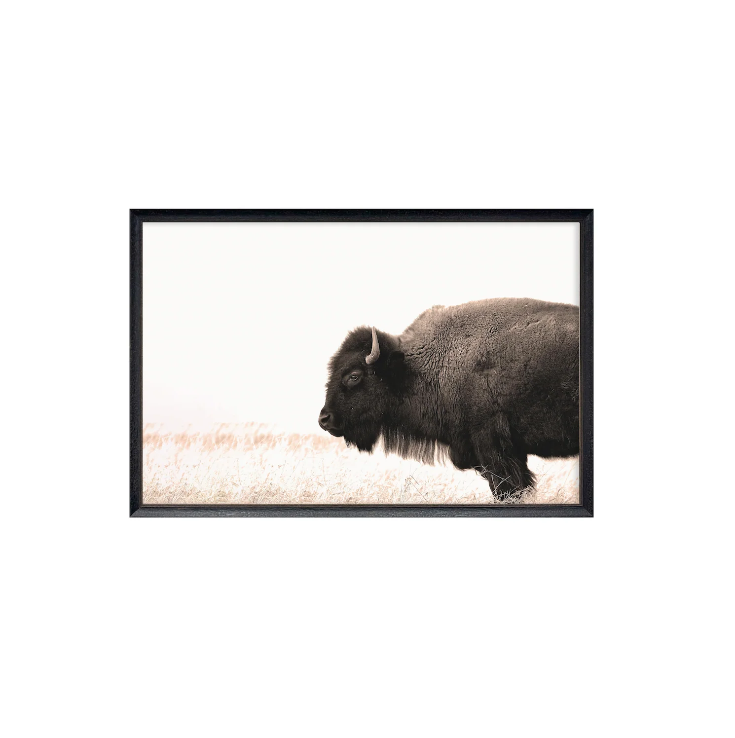 40x60 Buffalo on Plains - Image 2