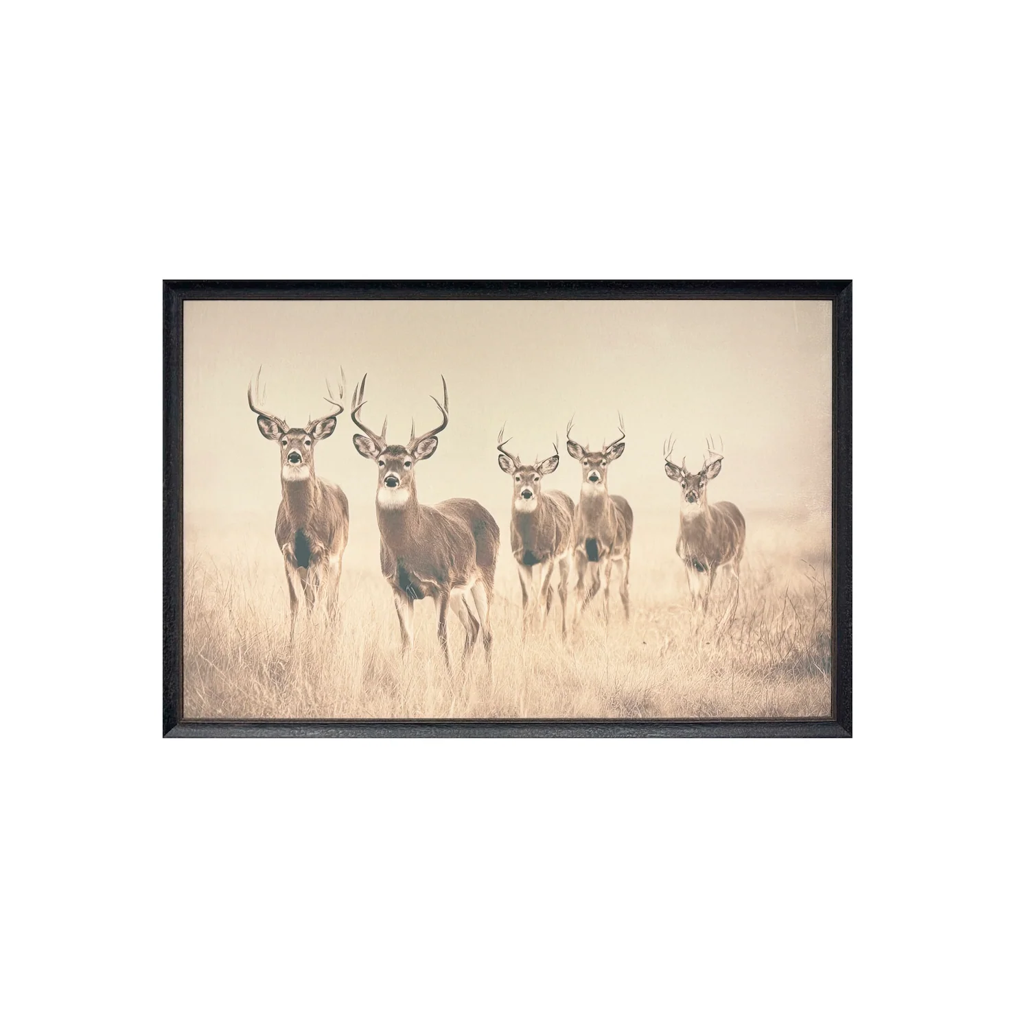 40x60 Vintage Antler - Image 2