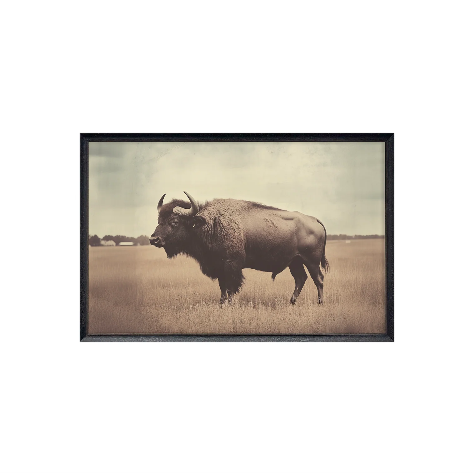 40x60 Vintage Buffalo - Image 2