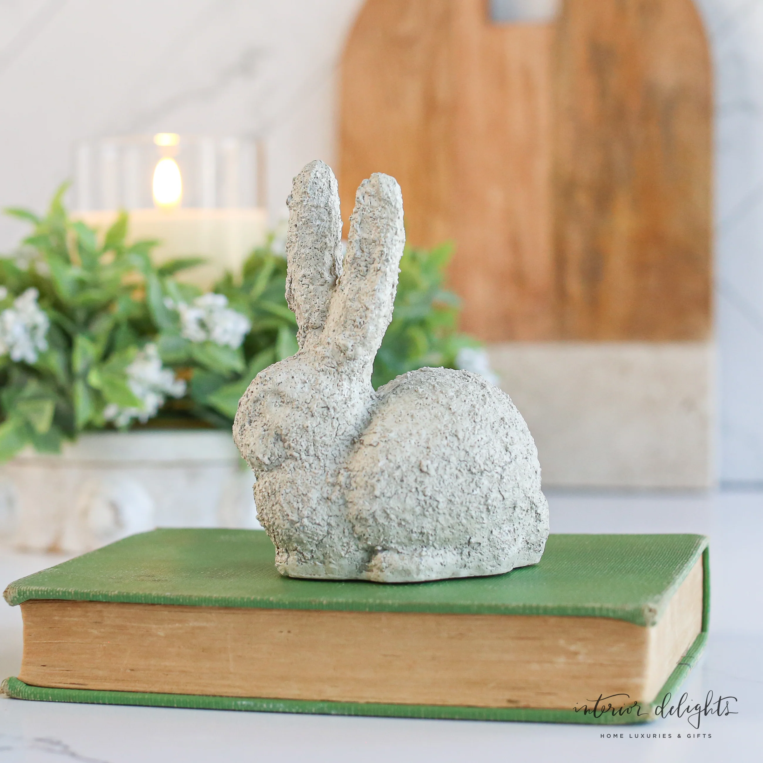 Baby Bunny Rabbit - Image 3