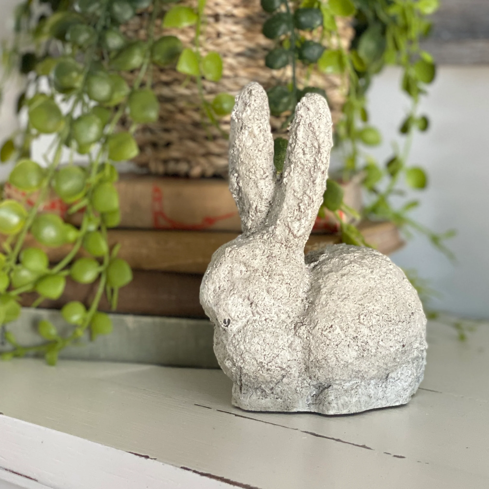 Baby Bunny Rabbit - Image 4
