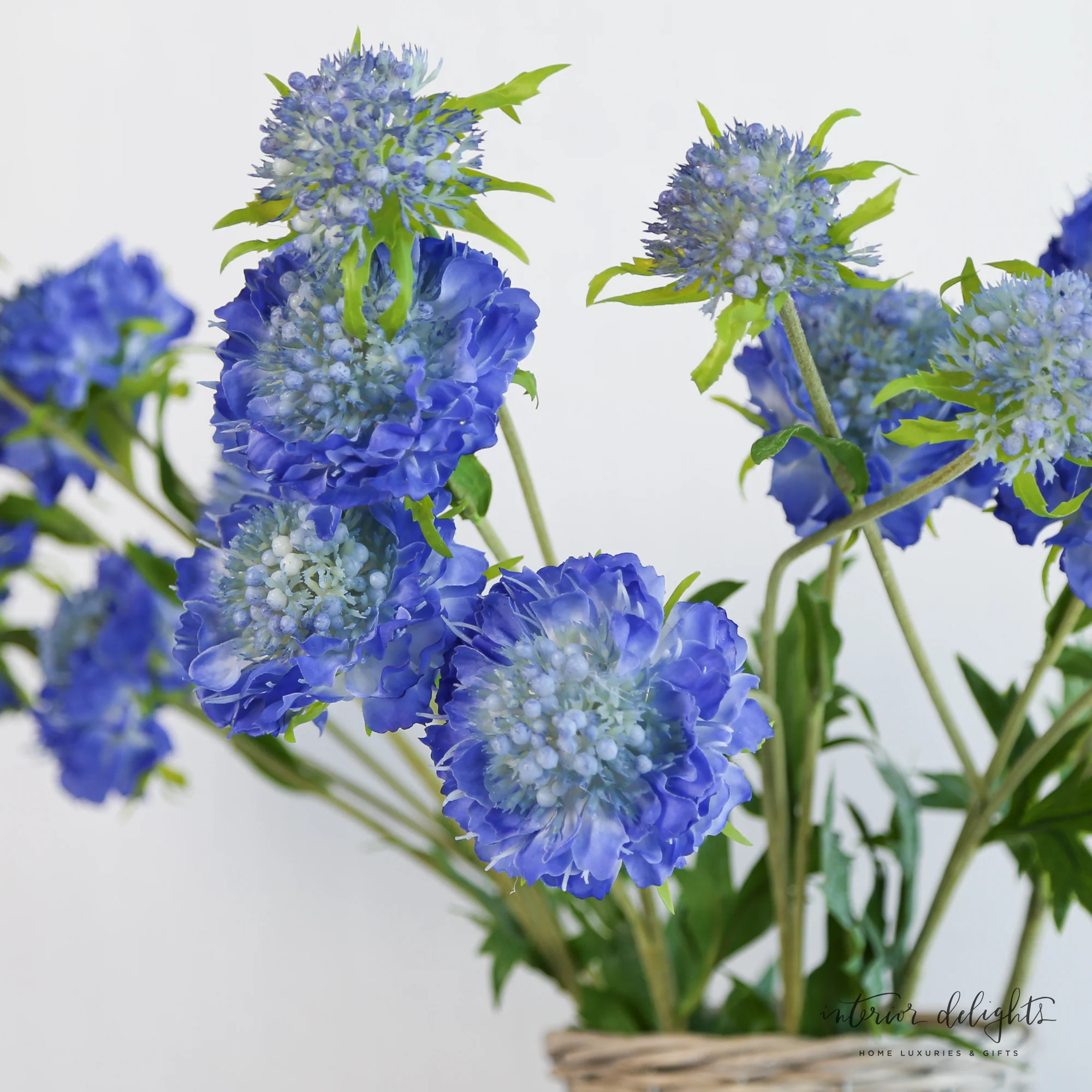Blue Triple Pincushion Flower - Image 5