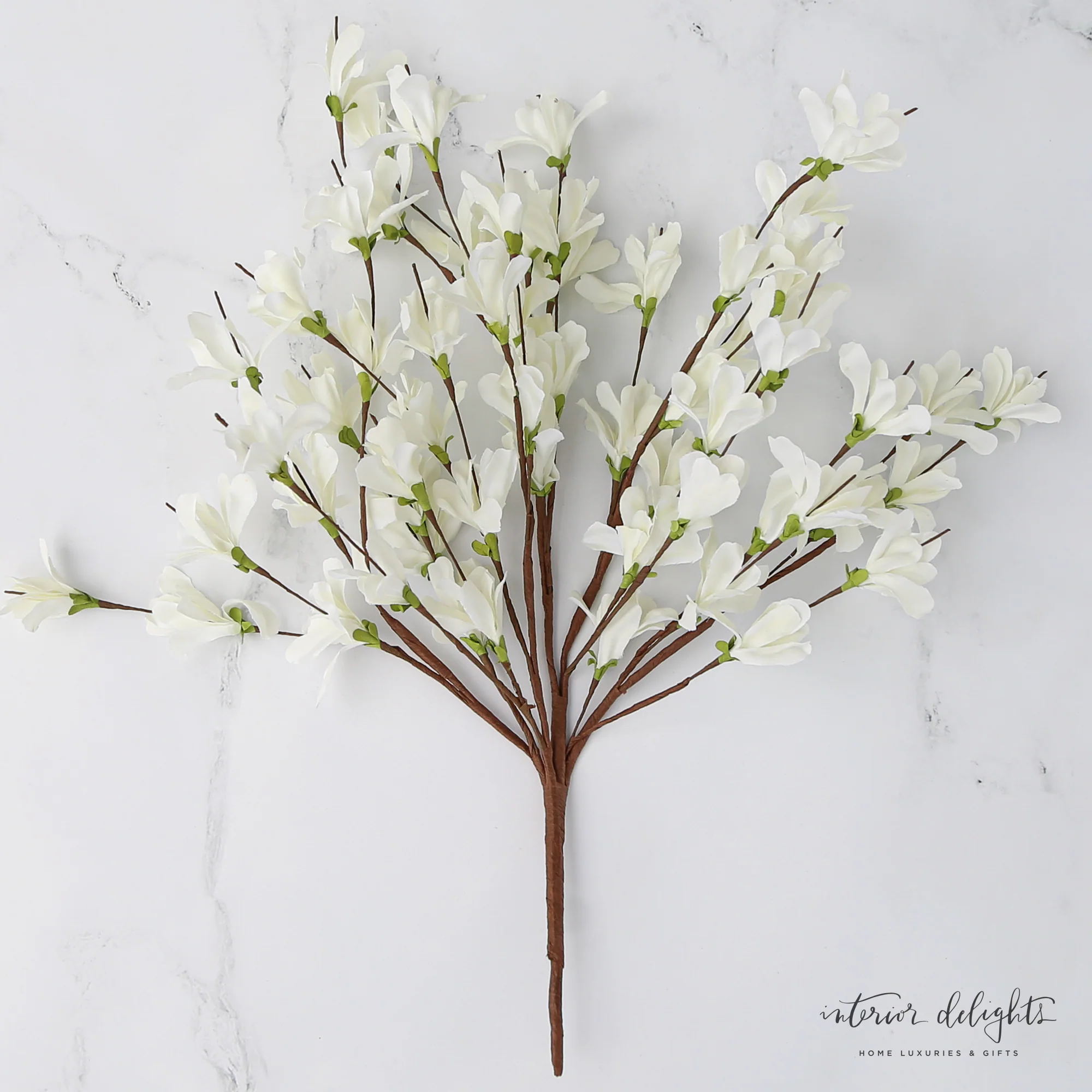 White Forsythia Bush-20in - Image 3