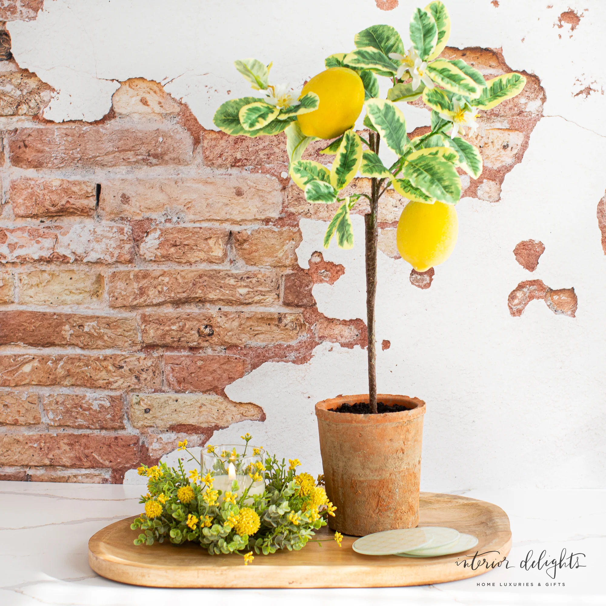 25” Lemon Tree in Clay Pot - Image 5
