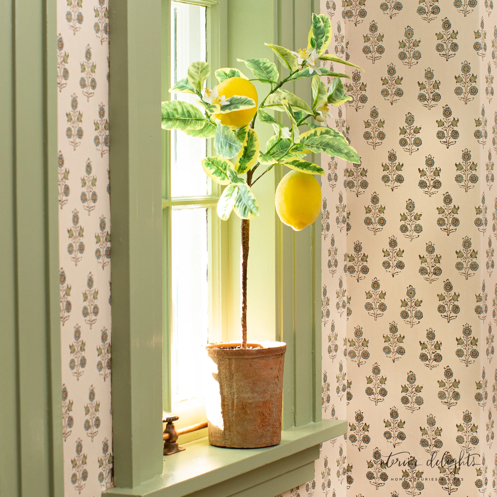 25” Lemon Tree in Clay Pot - Image 6