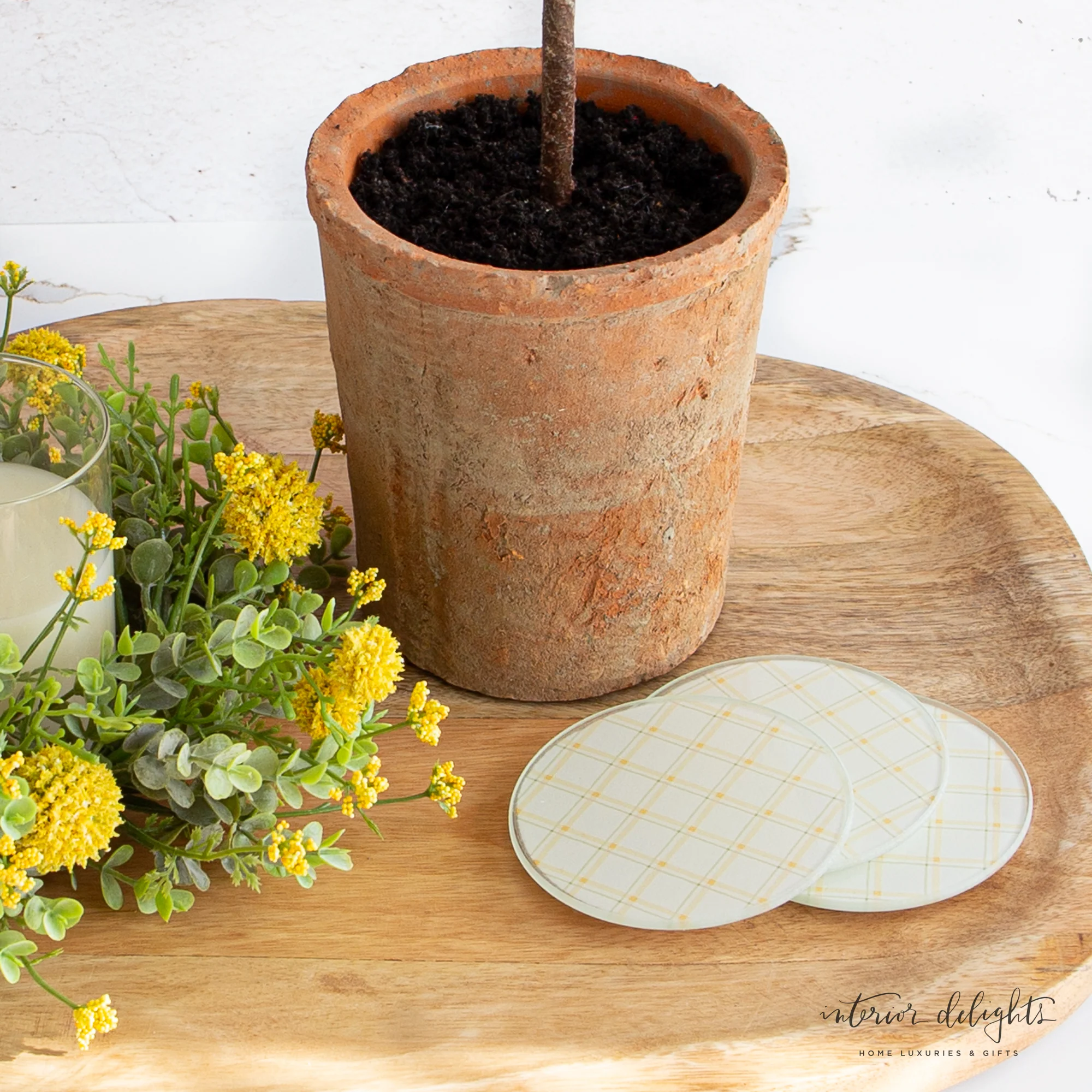 25” Lemon Tree in Clay Pot - Image 7