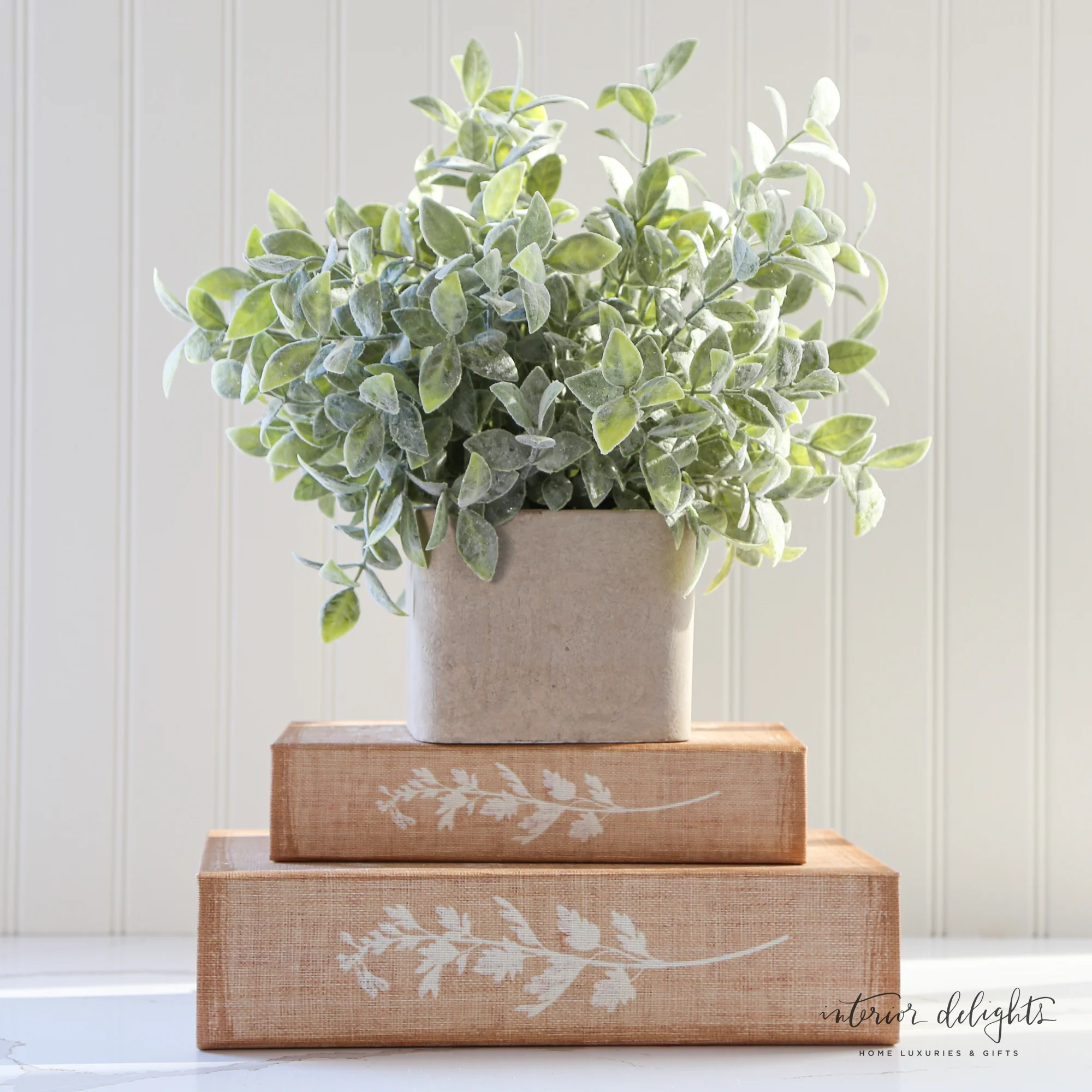 Sage in Cement Pot - Image 3