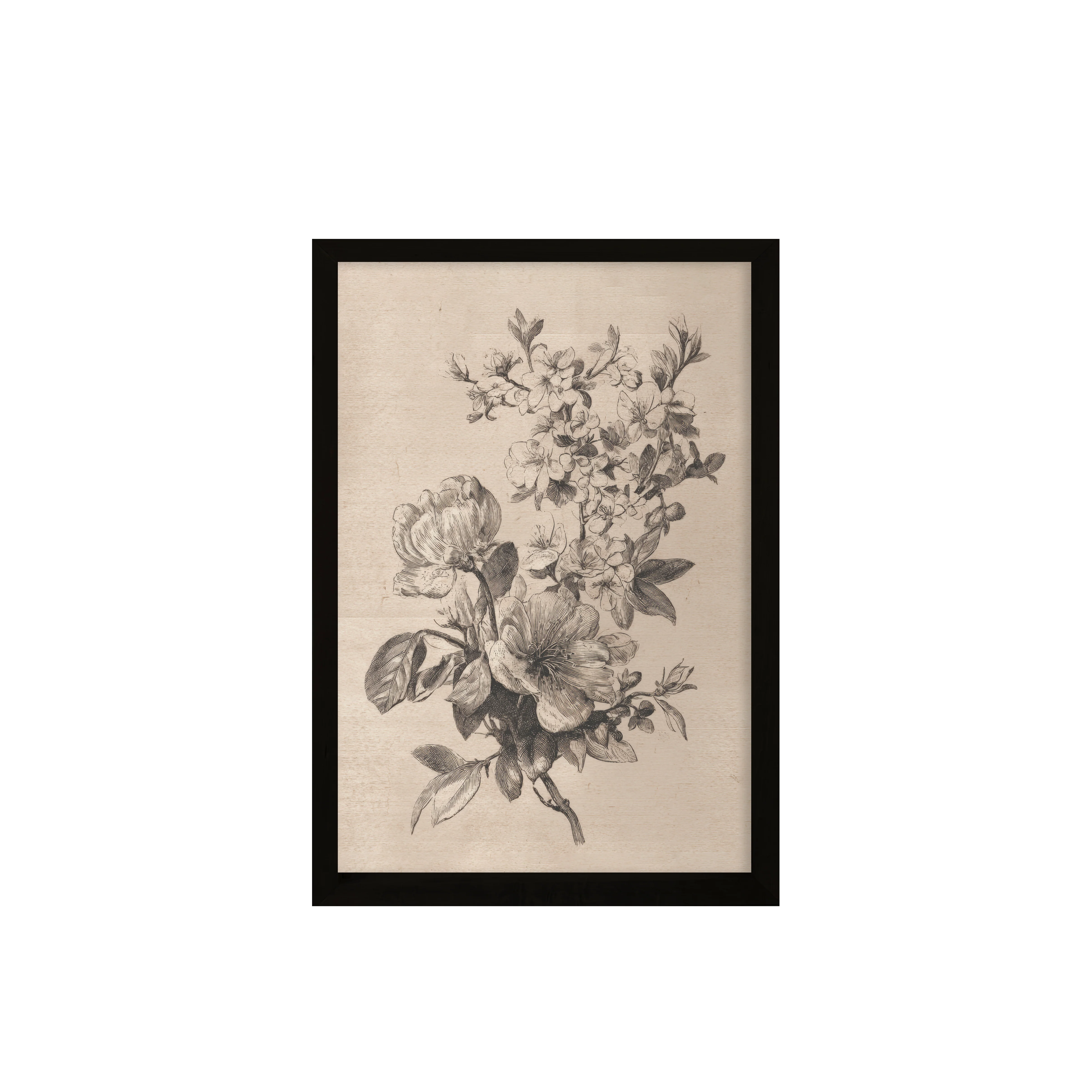24x36 Flat Black Sketched Botanical ( Set of 2) - Image 2