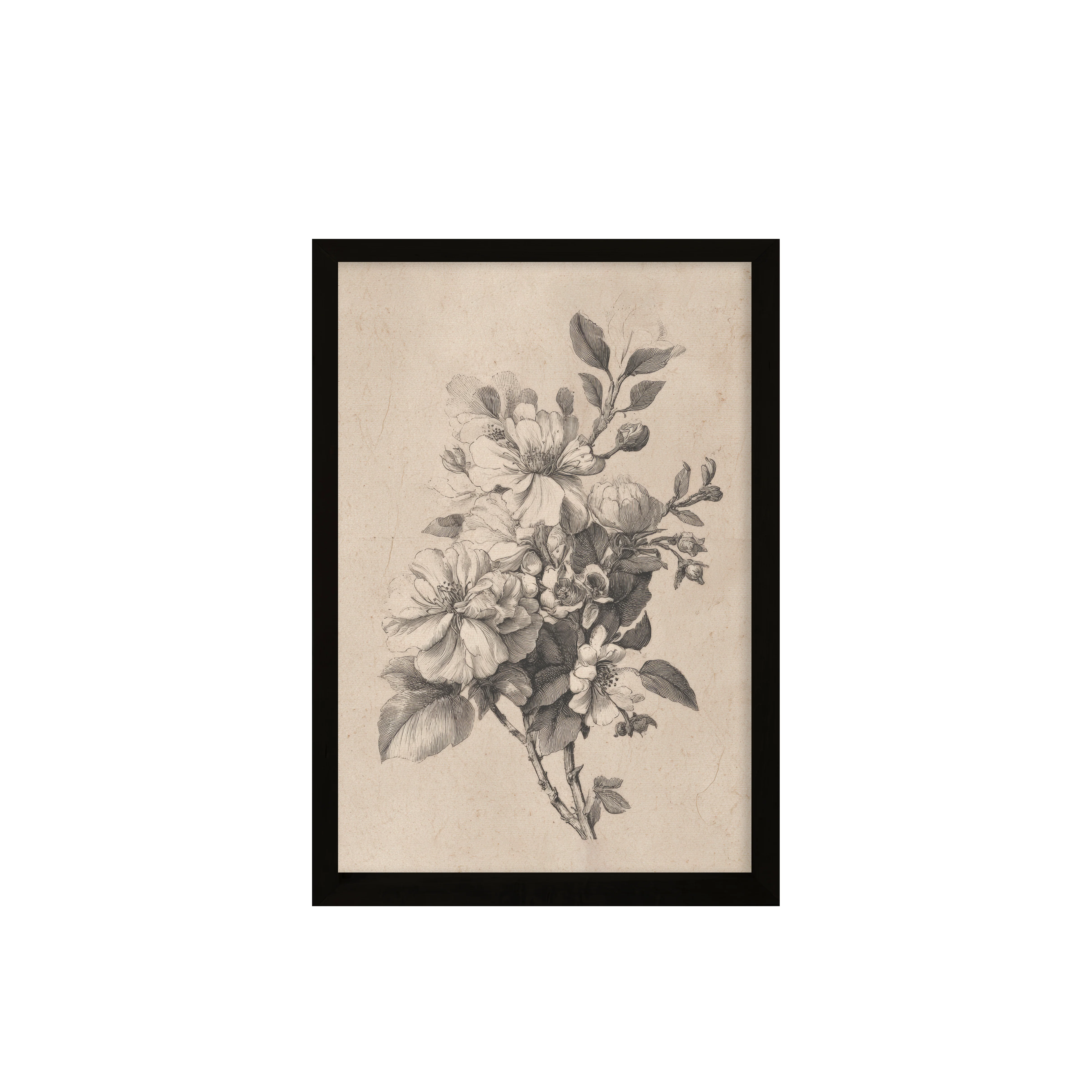 24x36 Flat Black Sketched Botanical ( Set of 2) - Image 3