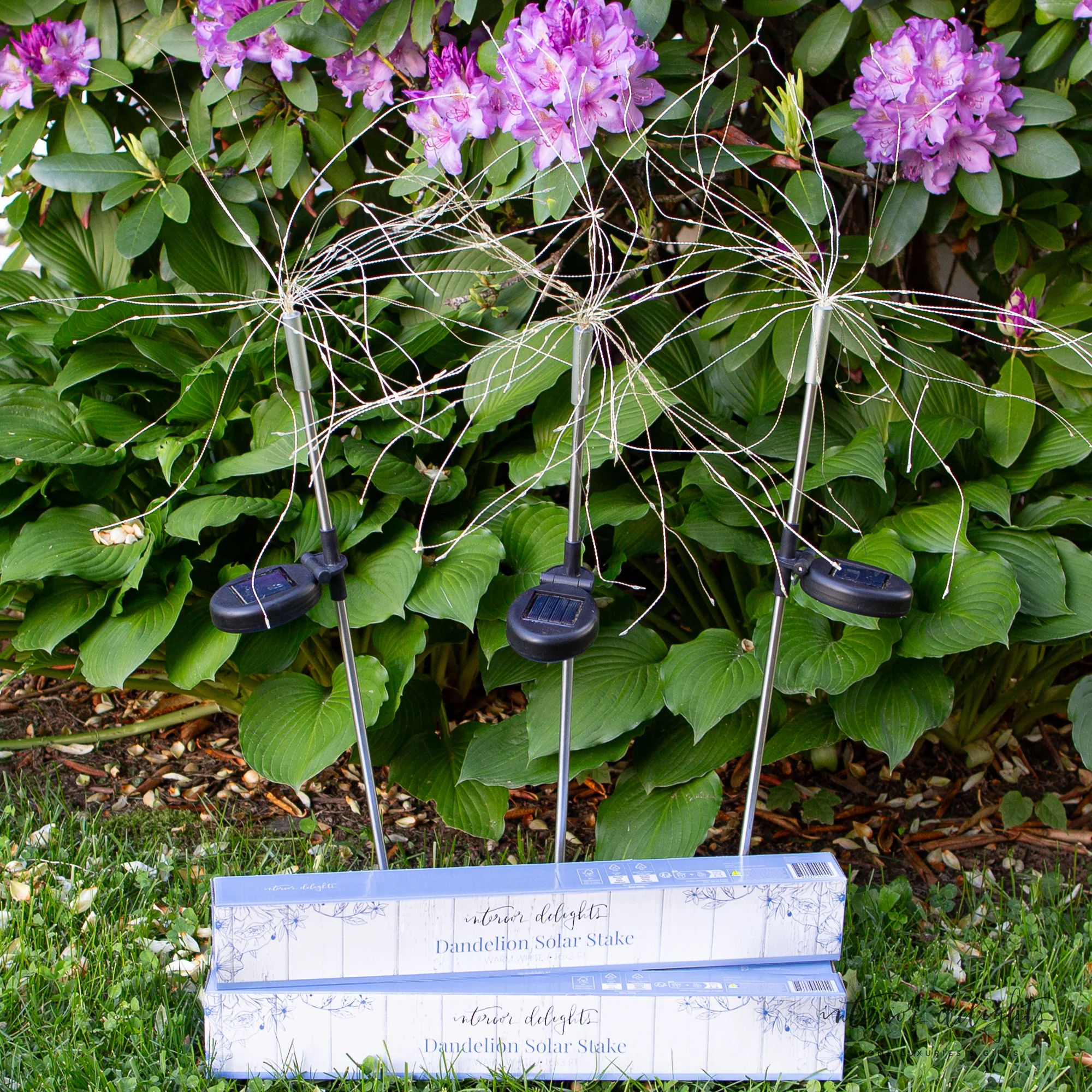 Dandelion Solar Stake Light - Image 7
