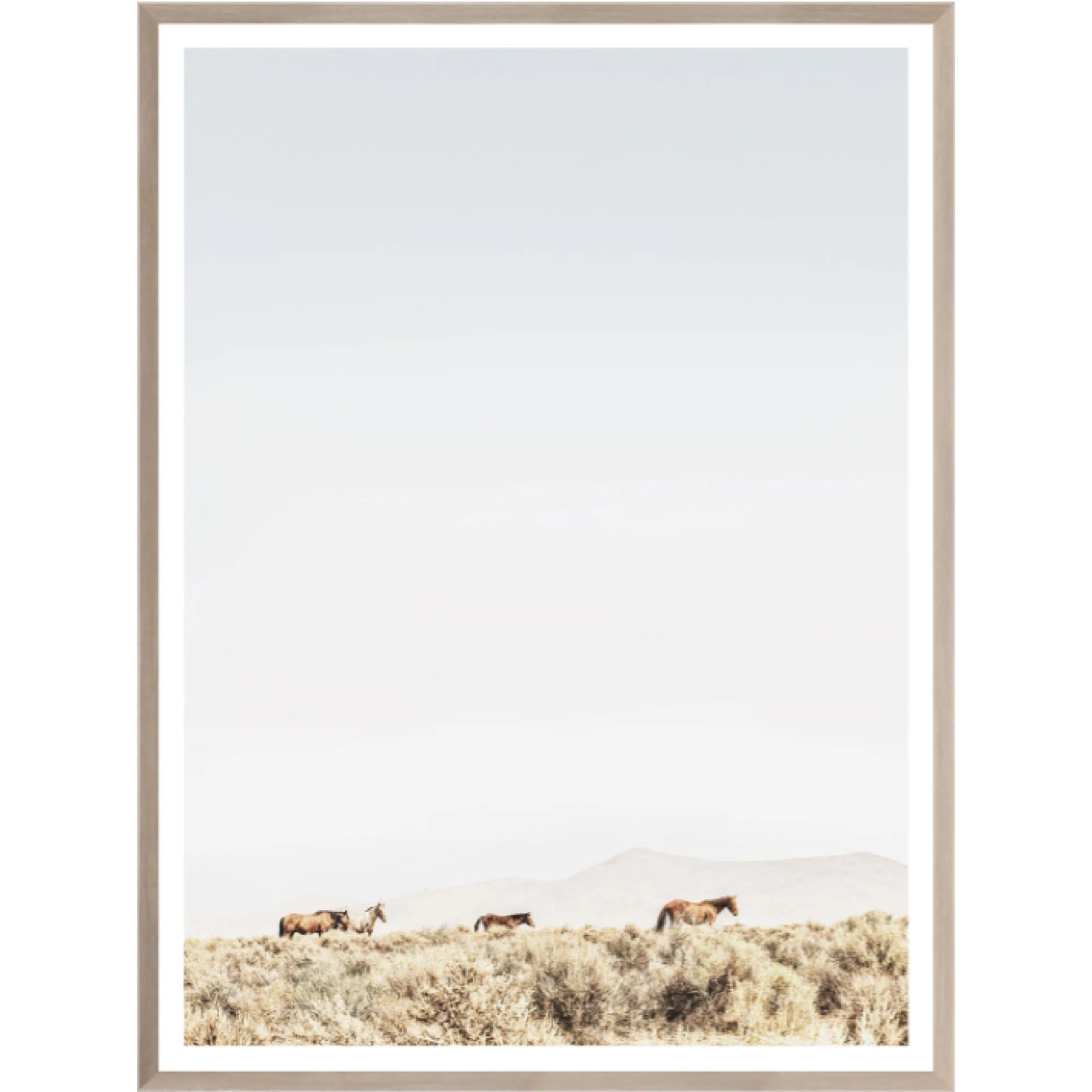 Wild Mountain Horses - Image 2